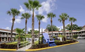 Hotel South Tampa & Suites
